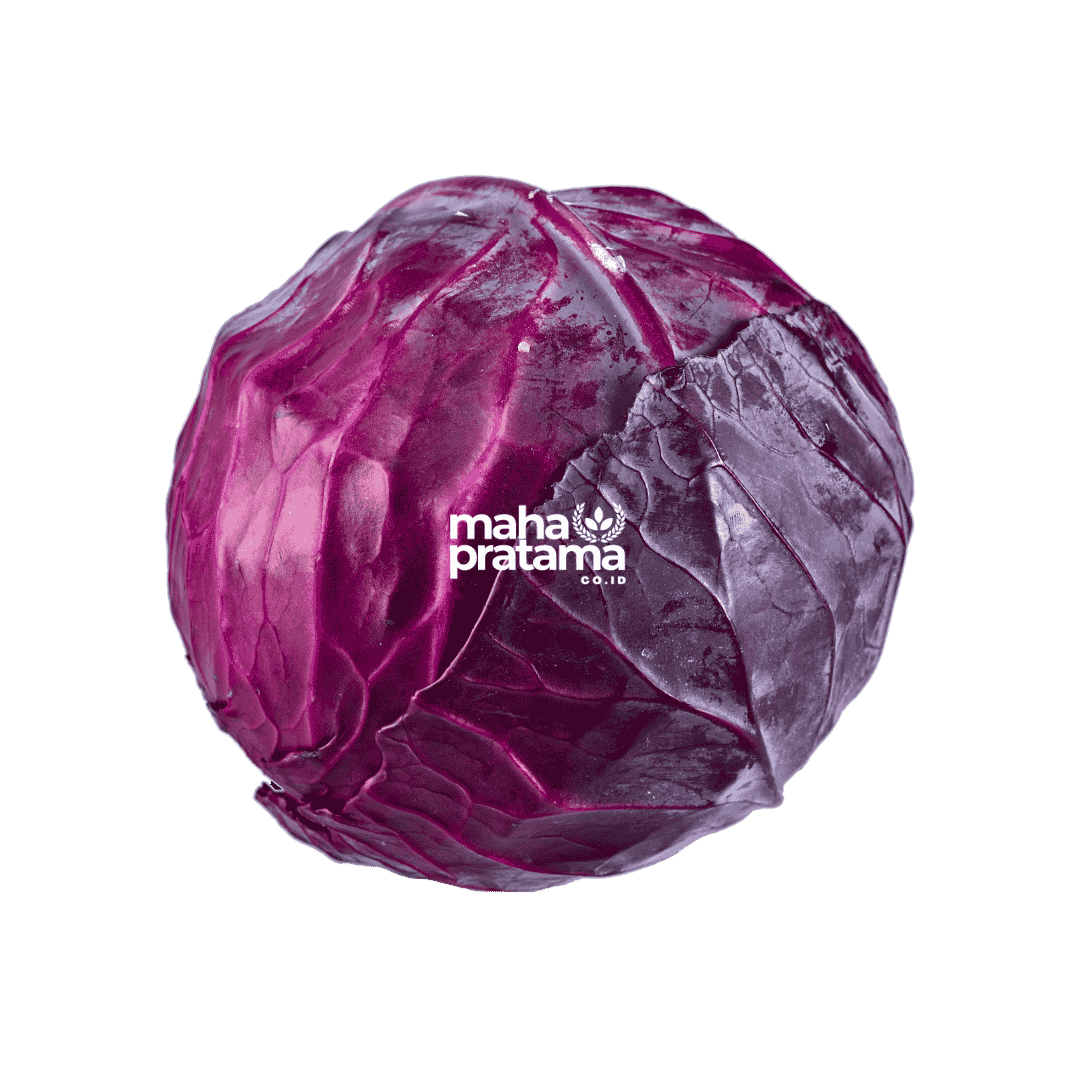 Purple Cabbage