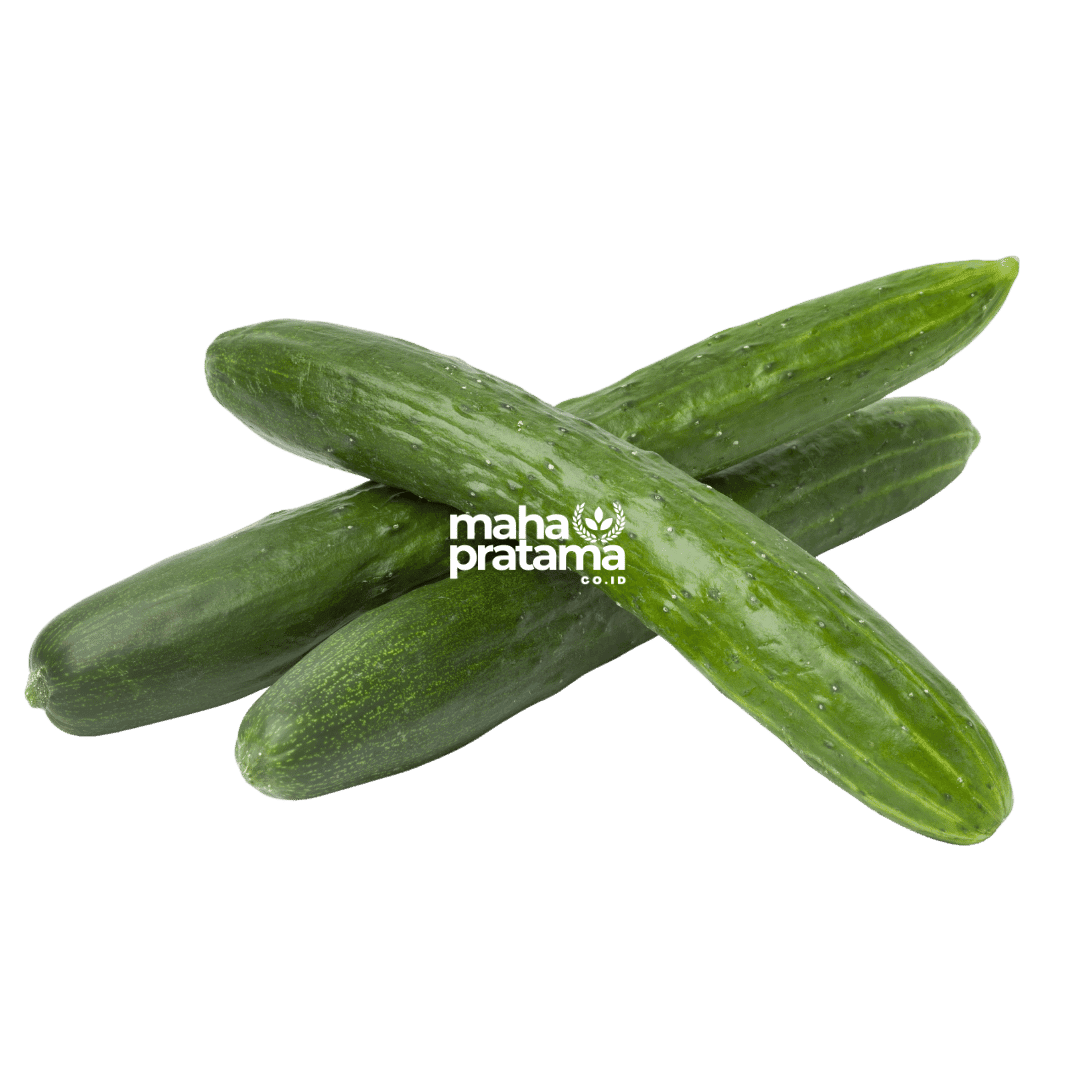 Kiyuri (Japanese Cucumber)